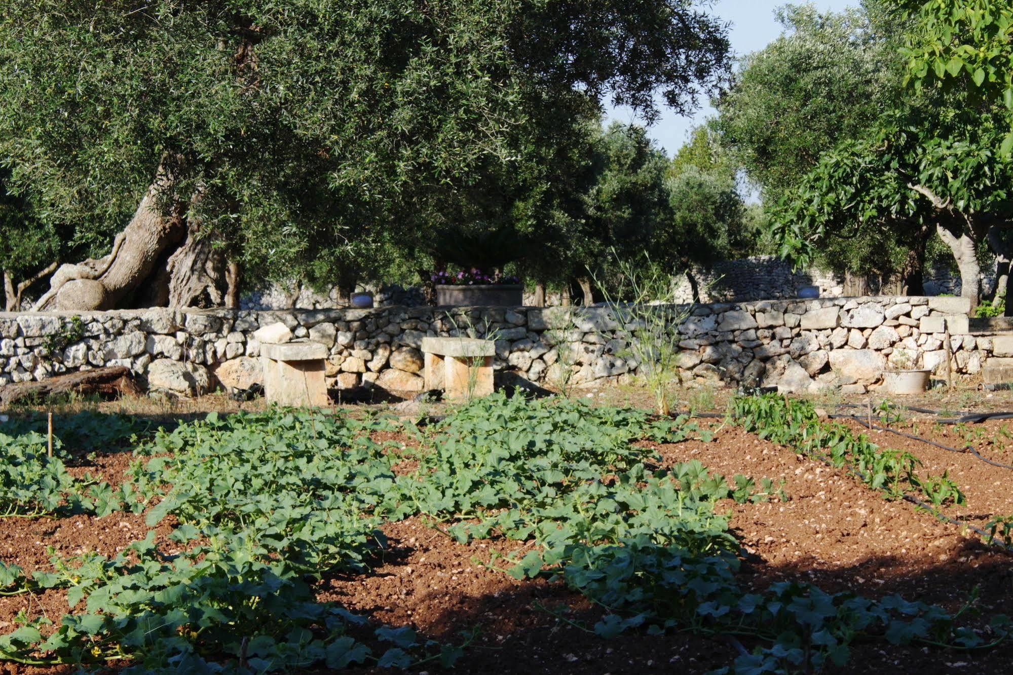 Tenuta Pigliano Hotel Bagnolo del Salento Dış mekan fotoğraf