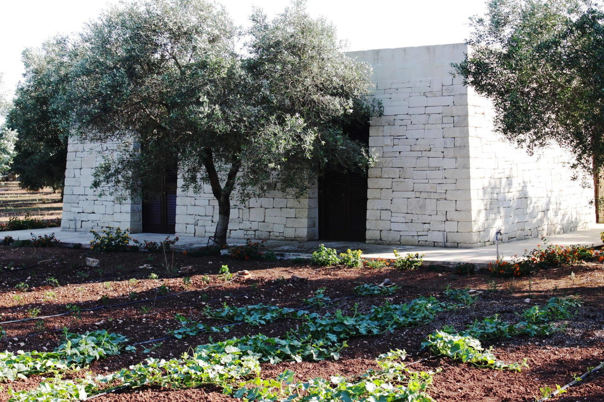 Tenuta Pigliano Hotel Bagnolo del Salento Dış mekan fotoğraf